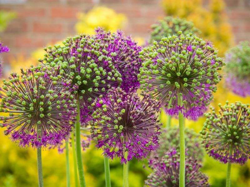 Why Regular Garden Maintenance Matters